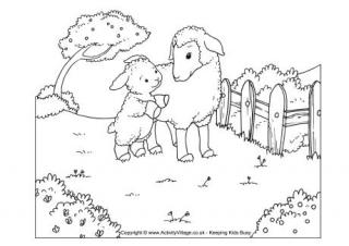 320x226 Sheep Colouring Pages