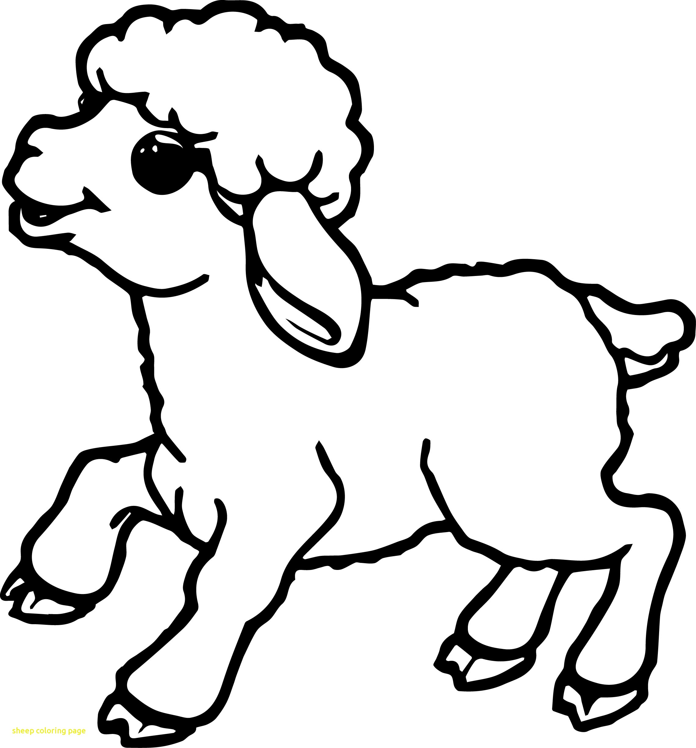 2282x2453 Approved Coloring Page Of A Sheep With Sitting Color 33493 Free