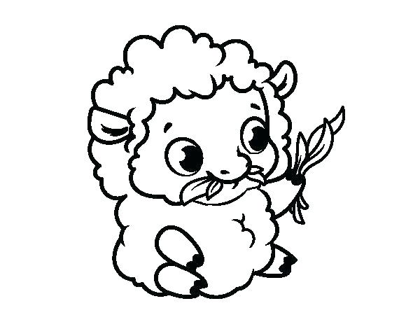 600x470 Coloring Pages Sheep