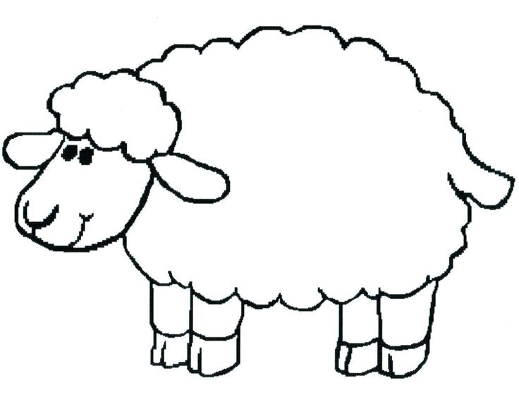 736x570 Coloring Pages Sheep Amazing Sheep Coloring Page 88 For Coloring
