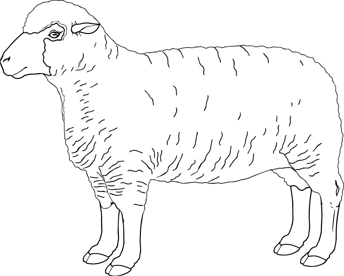 1109x892 Free Feed My Sheep Coloring Page Nice Pages 77