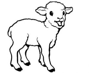 Sheep Coloring Pages Free