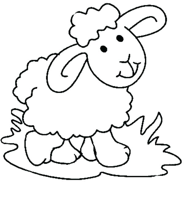 600x681 Sheep Color Page