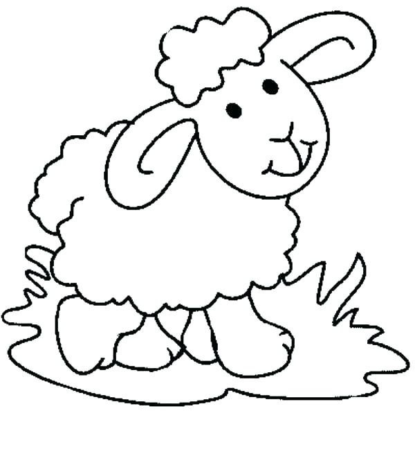 600x681 Coloring Pages Of Sheep Coloring Pages Sheep Baby Sheep Coloring