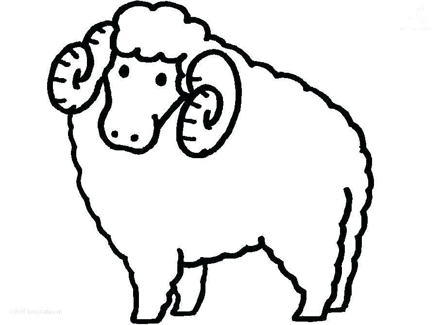 910x670 Coloring Page Sheep
