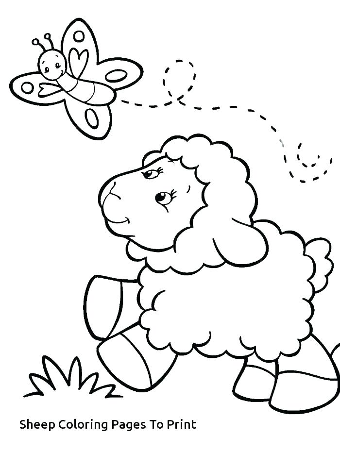 700x931 Lamb Coloring Pages Lamb Coloring Page Lamb Coloring Page