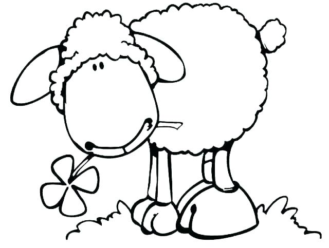 640x483 Sheep Face Coloring Page Sheep Coloring Page Coloring Page Sheep