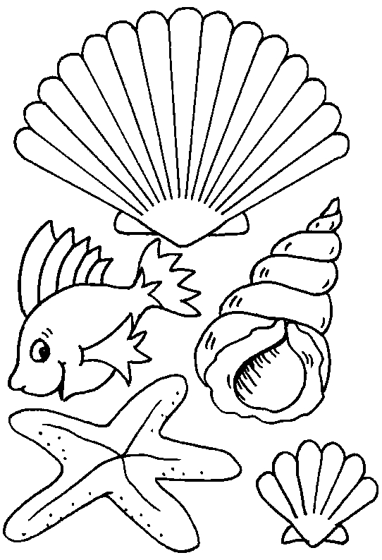 Shell Coloring Pages