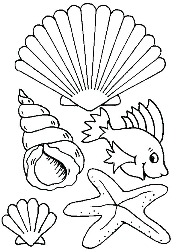 600x879 Sea Creatures Coloring Pages Sea Shell Coloring Page Different