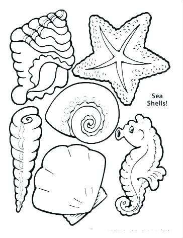 364x473 Sea Shell Coloring Page Seashell Coloring Page Sea Shell Pages