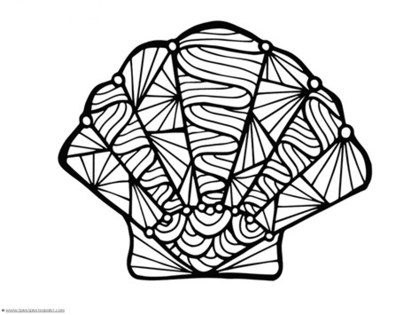 1359x1020 Sea Shell Coloring Pages