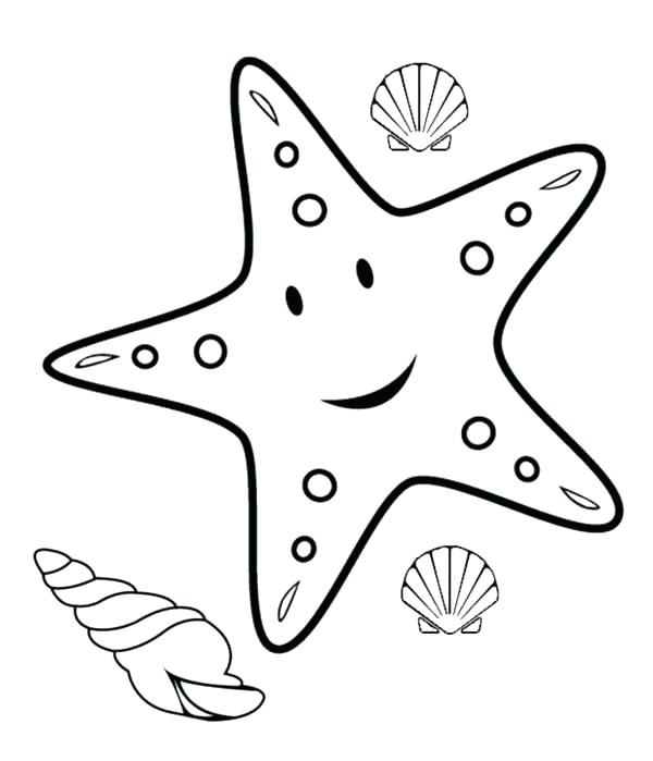 600x699 Sea Shell Coloring Pages Sea Shells Coloring Pages Sea Shell