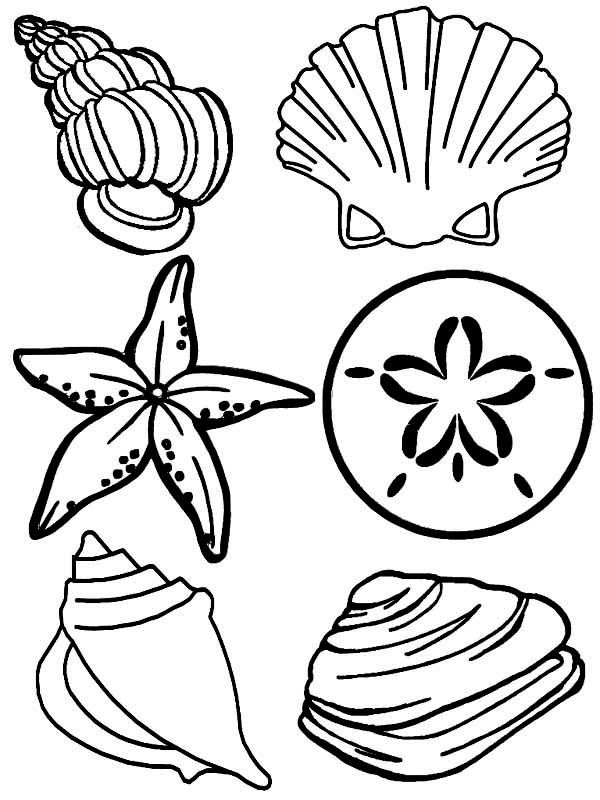 600x800 Sea Shells Coloring Page Printable Fishocean Quilt Ideas