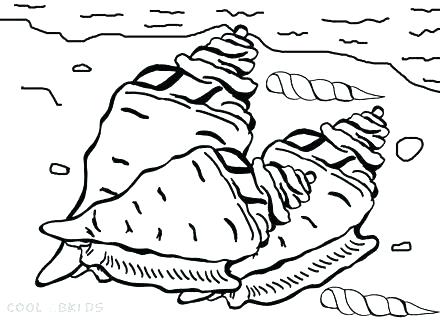 440x330 Seashell Coloring Sea Shells Coloring Pages Sea Shell Coloring