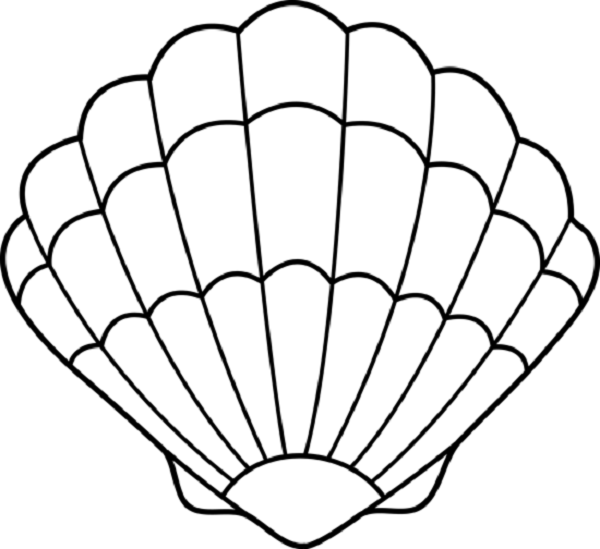 600x549 Clam Shell Coloring Pages Coloring Kids Cameron Turns 2