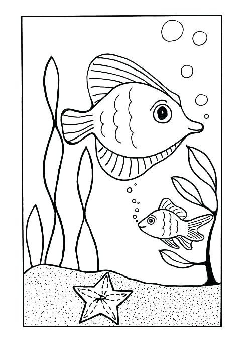 500x687 Coloring Pages Sea Shells Impair.co