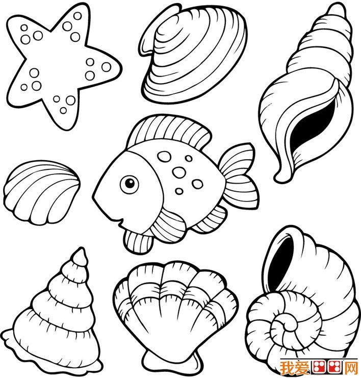 708x741 Free Coloring Pages Of Is Shell Templates Shell