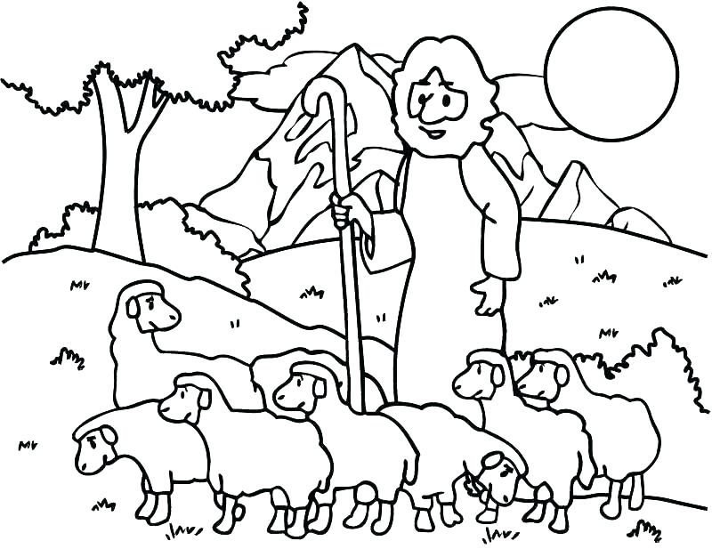800x617 Good Shepherd Coloring Page Shepherd Coloring Page Sheep