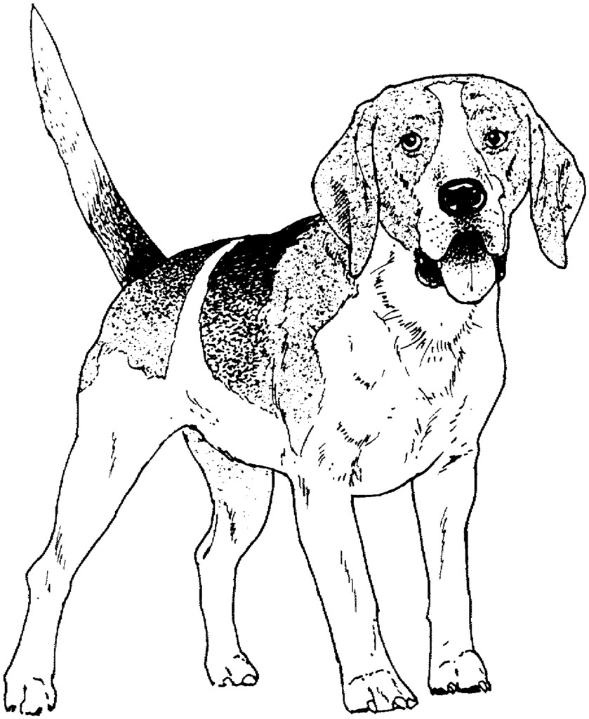 839x1024 Military Diet Military Dog Tag Coloring Pages. Military Dog Tag