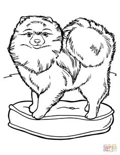 236x305 Chow Chow Dog Super Coloring Dog Patterns Chow