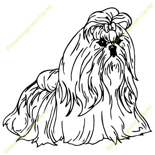 Shih Tzu Coloring Page