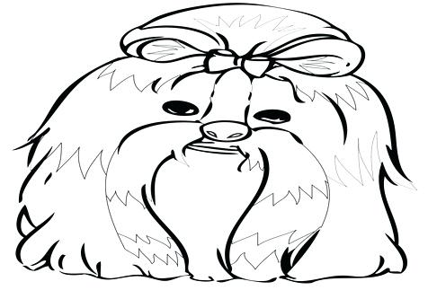 476x333 Shih Tzu Coloring Pages Click To See Printable Version Of In Show