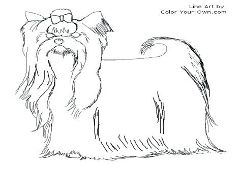 476x333 Shih Tzu Coloring Pages Coloring Pages Coloring Pages Print Shih