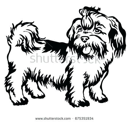 450x425 Shih Tzu Colouring Pages 2681809