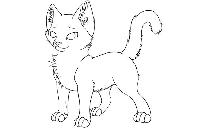 720x444 Shih Tzu Coloring Pages Coloring Collection