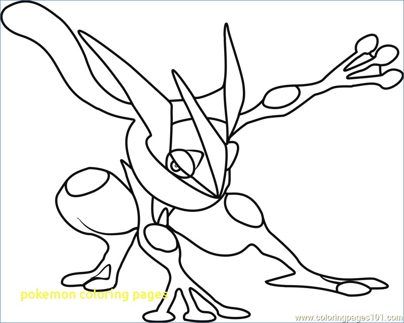 800x639 Charizard Dragon Pokemon Coloring Page