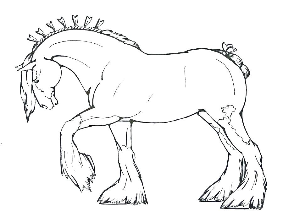 900x710 Draft Horse Coloring Pages Heart Coloring Pages For Teenagers
