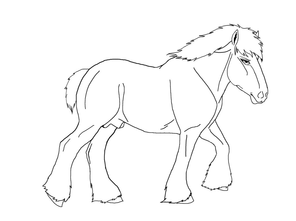 1034x772 Shire Horse Coloring Pages