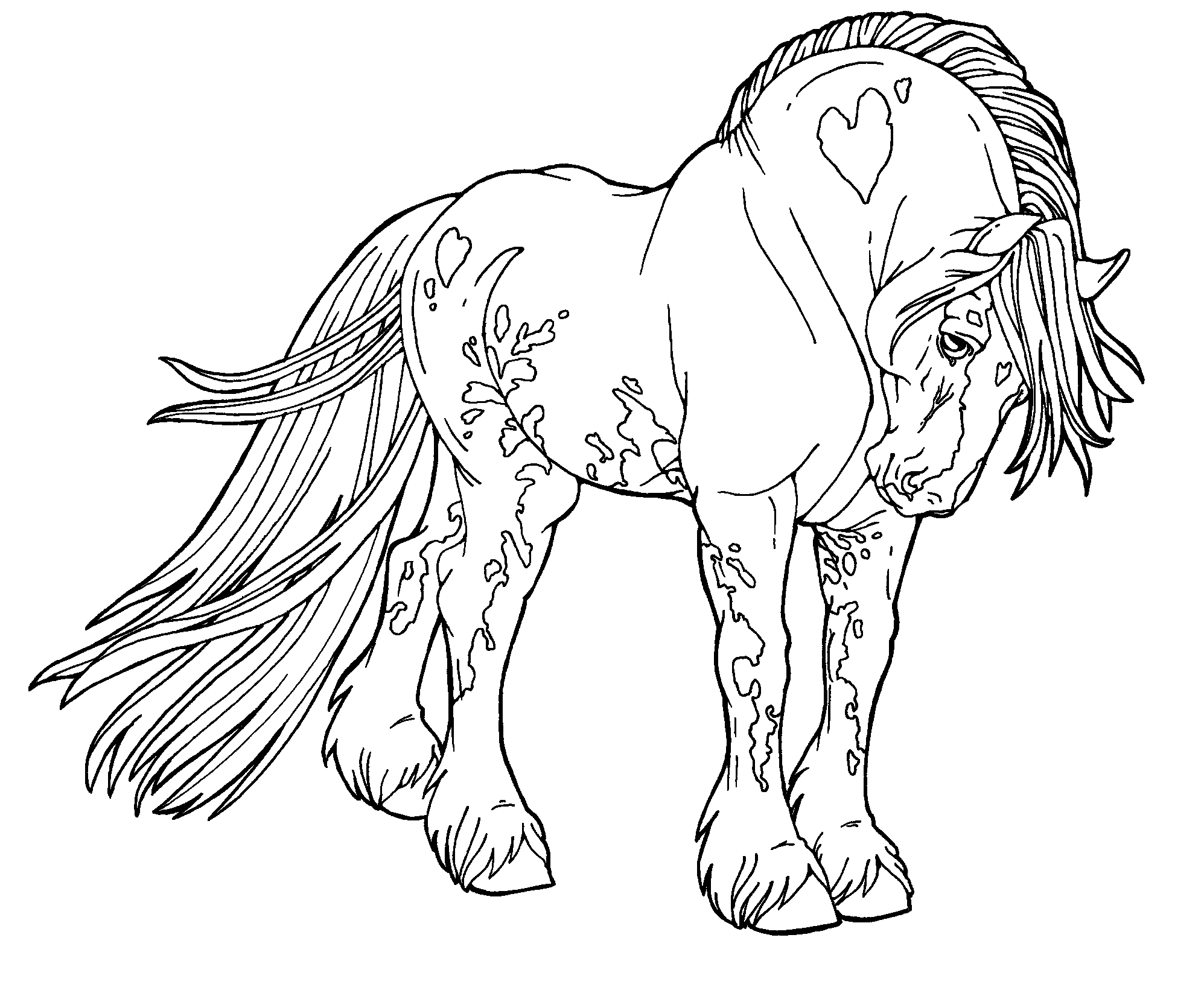 1995x1656 Shire Horse Coloring Pages Downloadable Shire Horse Coloring Pages