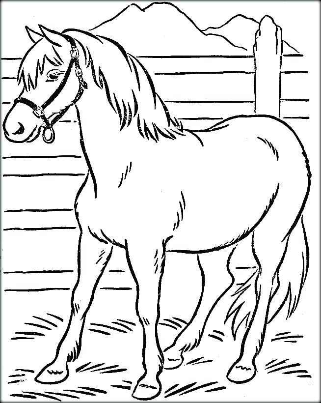 654x820 Shire Horse Coloring Pages Horse Coloring Pages Shire Horse