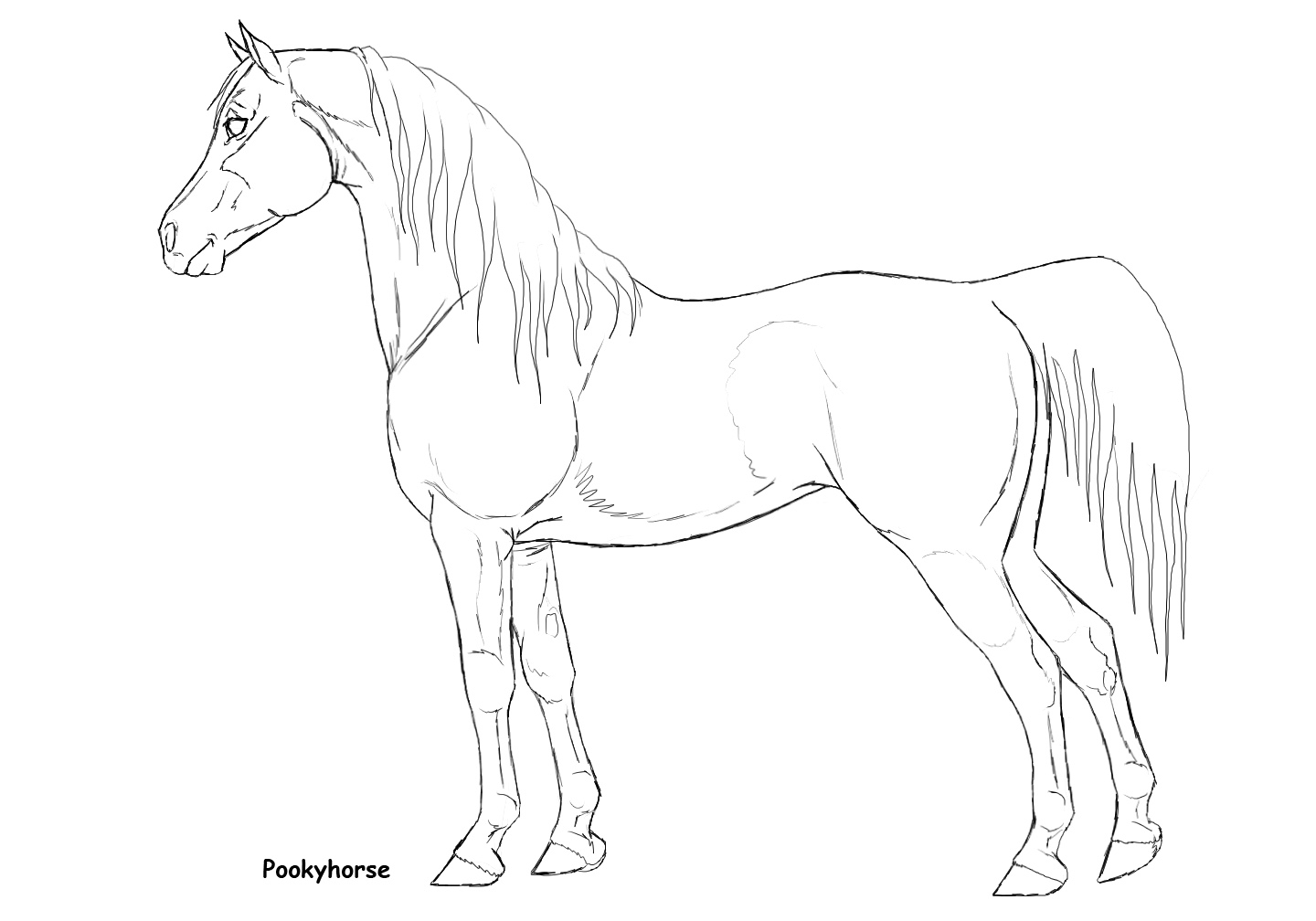1440x1008 Shire Horse Coloring Pages Printable Coloring For Kids 2018