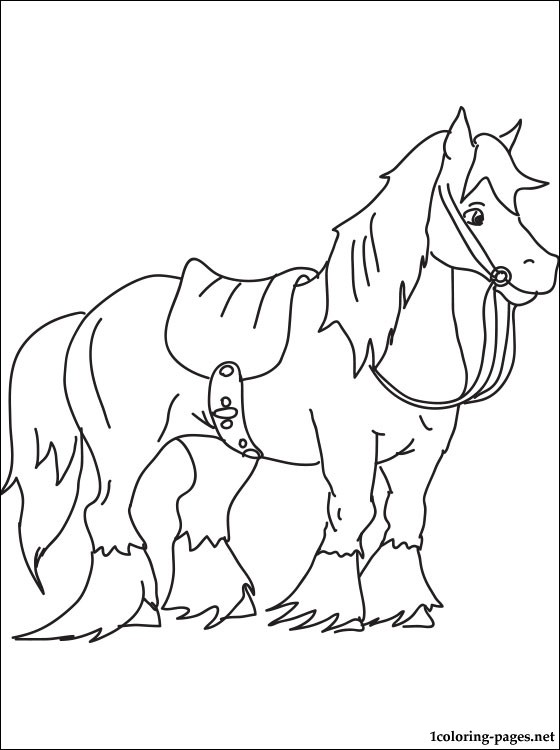 560x750 Angus Horse Coloring Page Coloring Pages