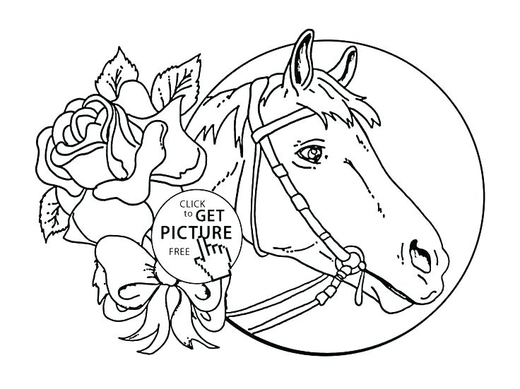 736x551 Horse Coloring Pages Free Detailed Horse Coloring Pages Free