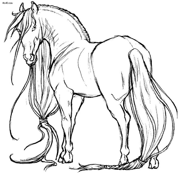 736x707 Realistic Wild Horse Coloring Pages Fresh Free Coloring Pages