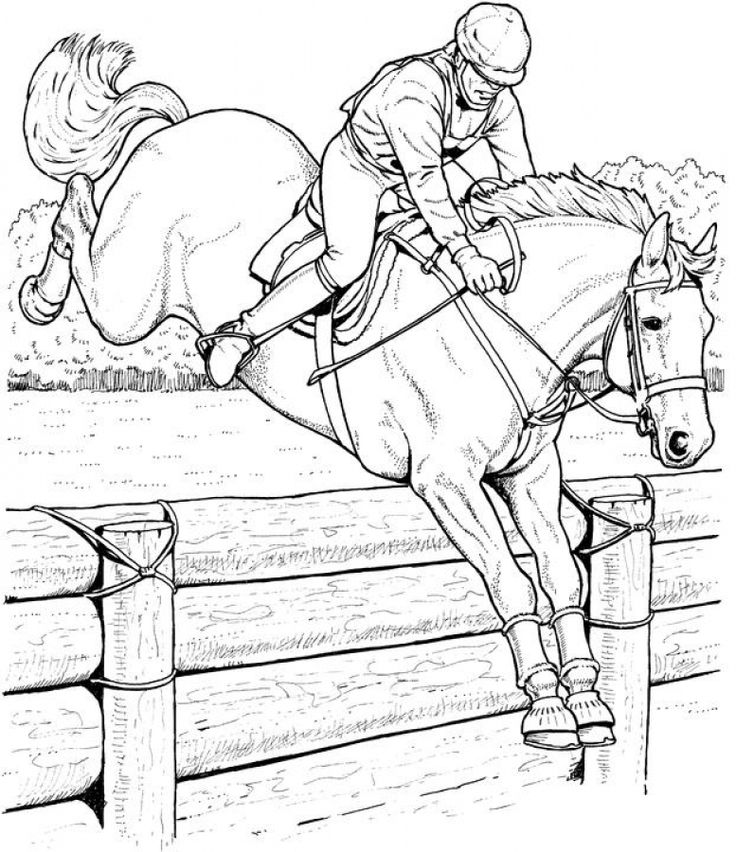 Show Jumping Coloring Pages