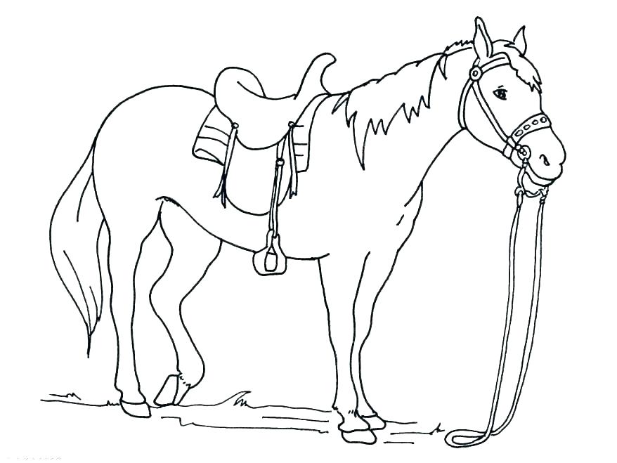 878x659 Horse Jumping Coloring Pages