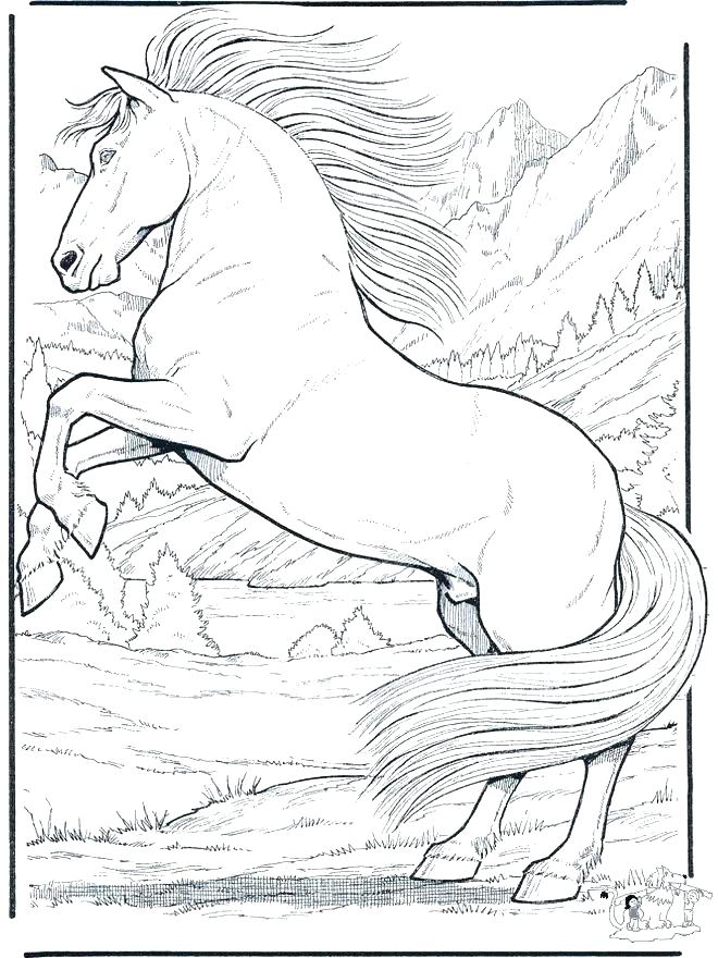 660x880 Horse Jumping Coloring Pages