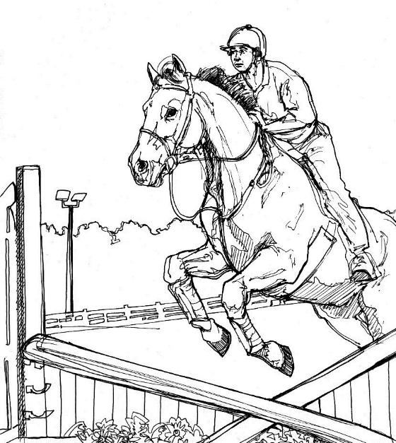 560x627 Horse Coloring Pages