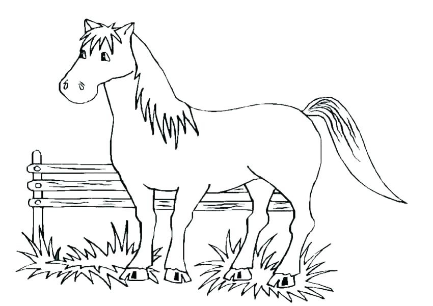 850x601 Horse Jumping Coloring Pages Show Jumping Horse Coloring Pages
