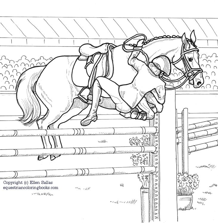 731x747 Hunter Jumper Horse Coloring Pages
