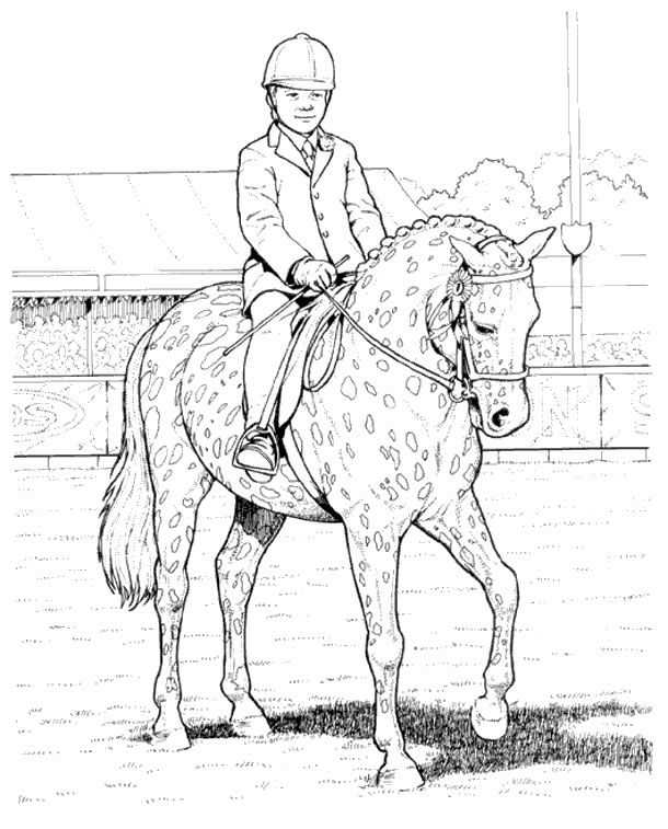 610x757 Show Boy And Pony.jpg Color Horses Competition