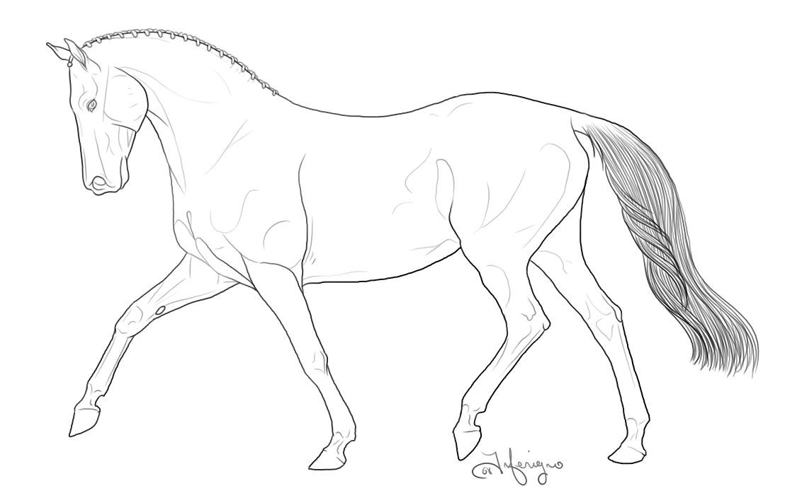 1108x704 Breyer Horse Coloring Pages