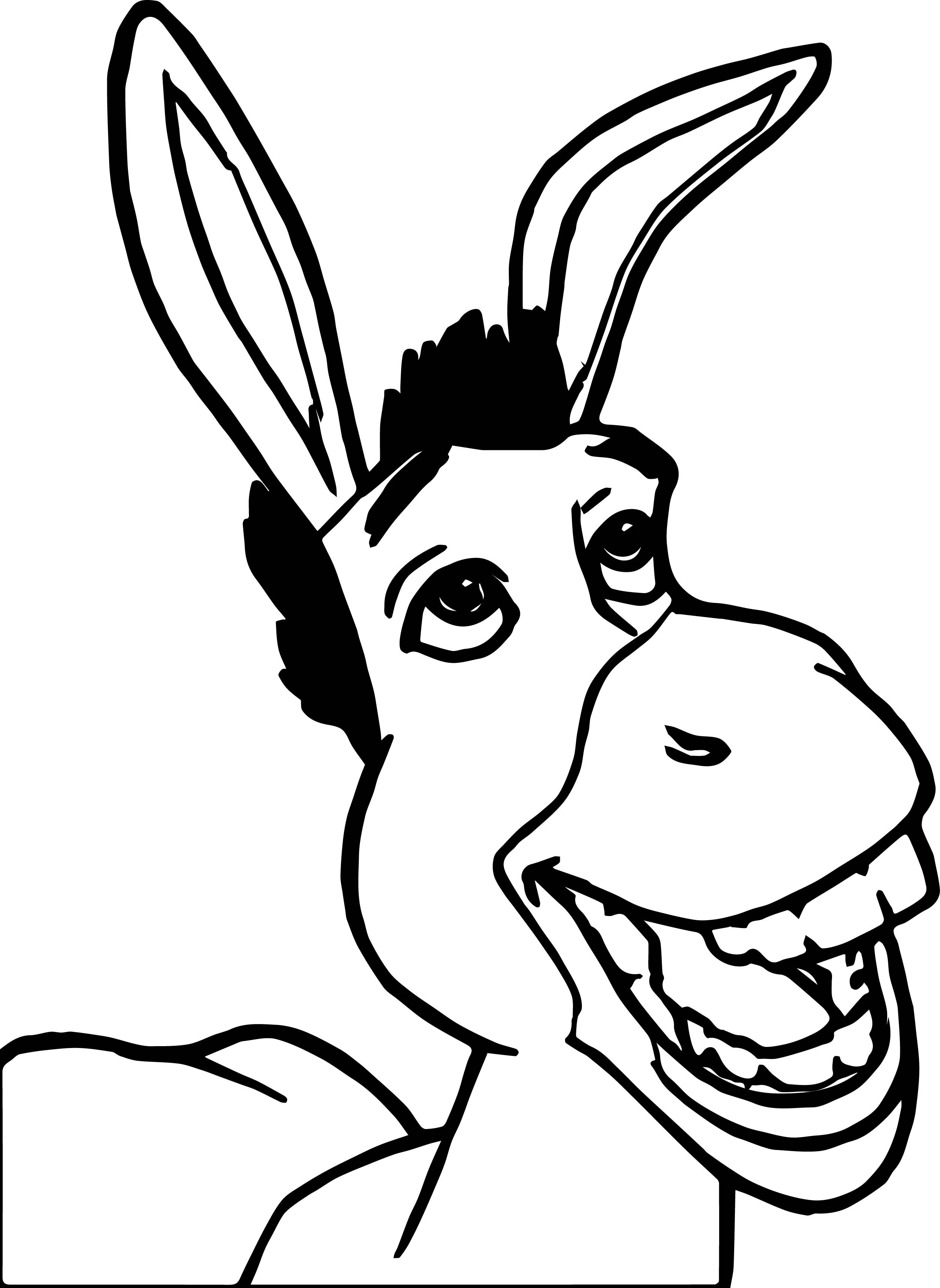 2507x3435 Shrek And Donkey Coloring Pages For Kids Beautiful Printable