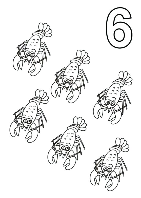 600x842 Shrimp Animal Coloring Pages Learn Number 6 With Six Shrimps