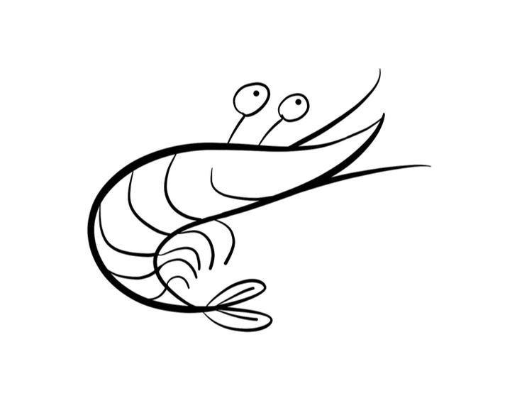 736x568 65 Best Images On Coloring, Animal