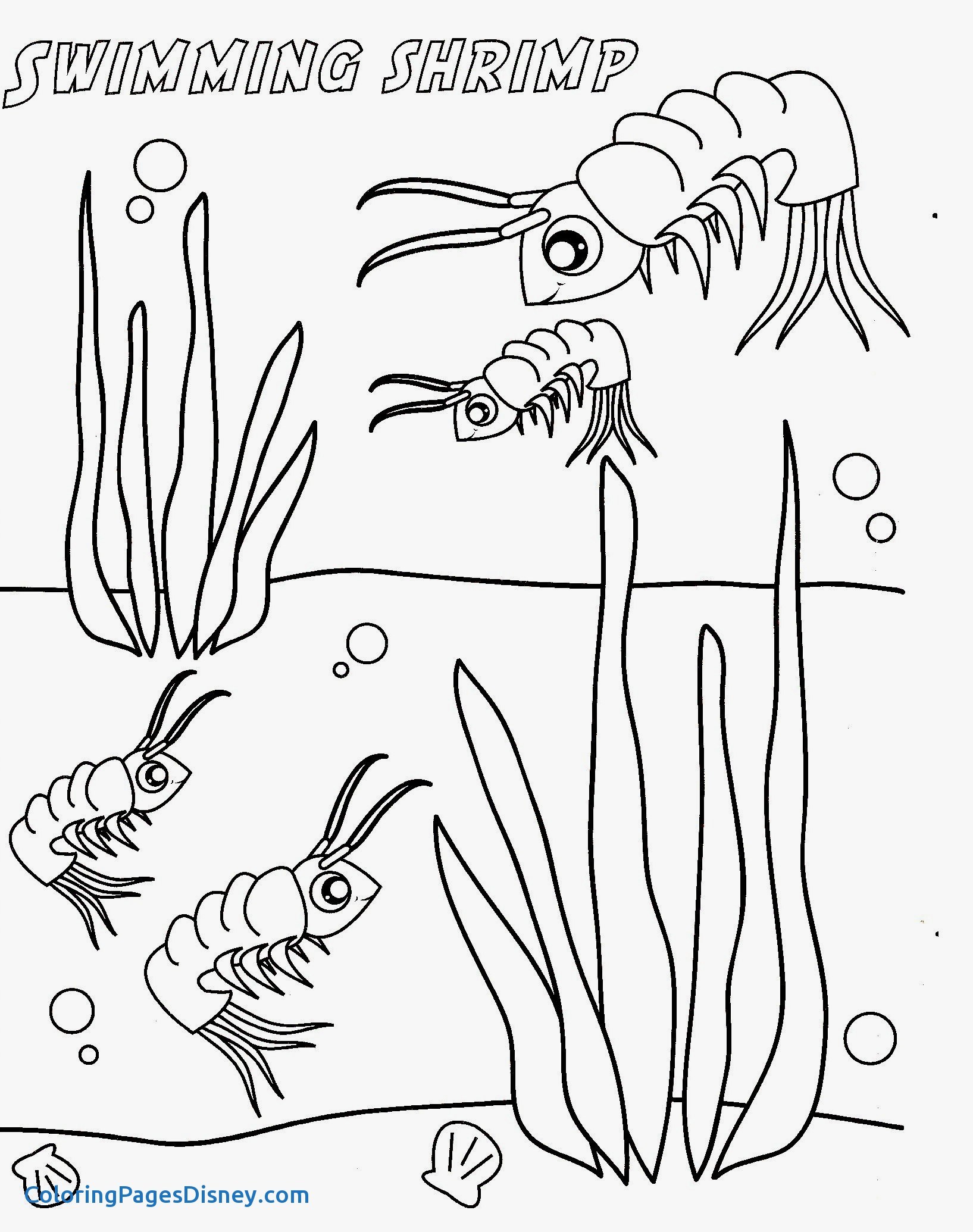 1635x2070 Shrimp Coloring Pages New Fresh Shrimp Page To Color Gallery